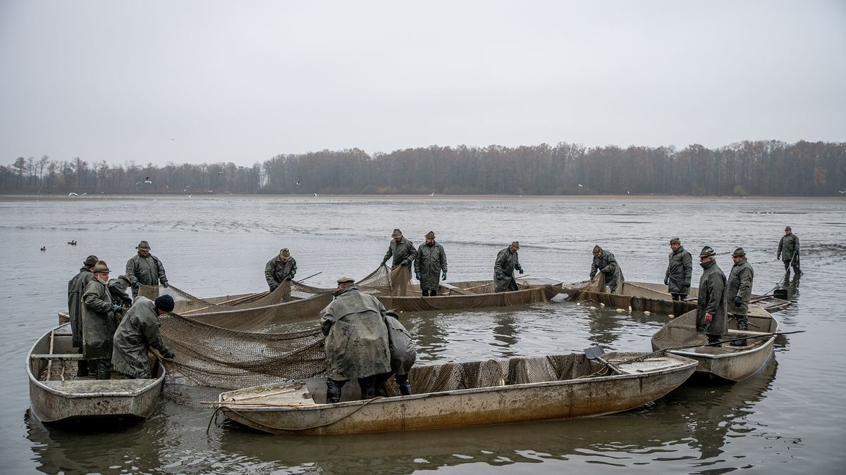 Rybáři v sobotu vyloví Bohdanečský rybník. Budou rybí speciality